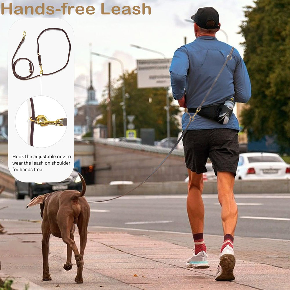 Guinzaglio per Cani Multifunzi - Leather Strap Quick Release recensione e prezzo
